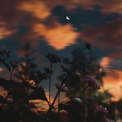 万博娱乐登陆截图