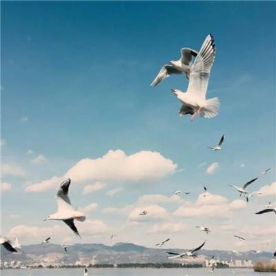 宝威体育官网下载手机版截图